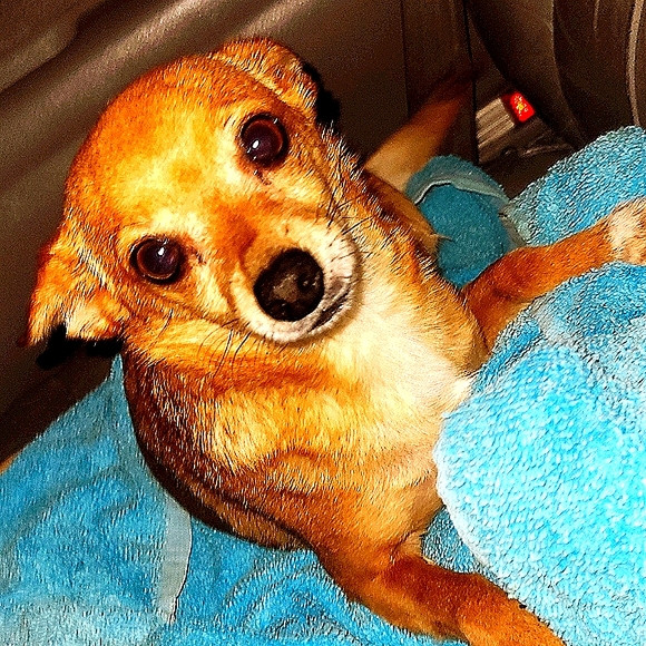 Meet your Posher, Tyler - Picture 14 of 15